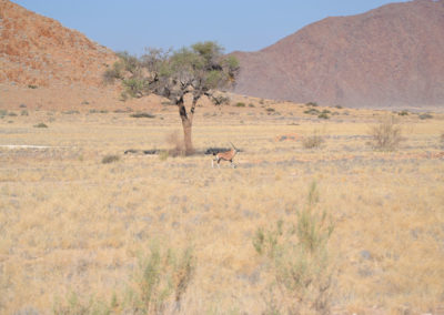 Paesaggi Solitaire Sossusvlei - Diario di viaggio in Namibia