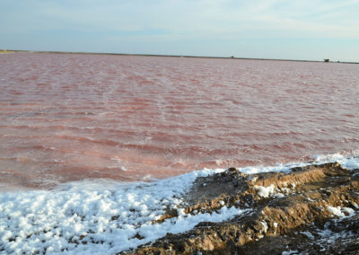 saline Walvis Bay - Diario di viaggio in Namibia