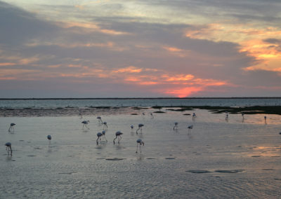 tramonto lagune di Walvis Bay - Diario di viaggio in Namibia