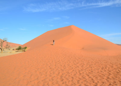 Duna 45 - Diario di viaggio in Namibia