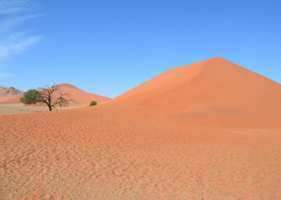 duna 45 Sossusvlei - Diario di viaggio in Namibia