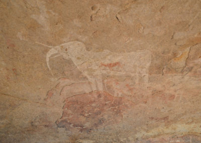Elefante bianco alla Pillip's Cave Ameib-Ranch - Diario di viaggio in Namibia