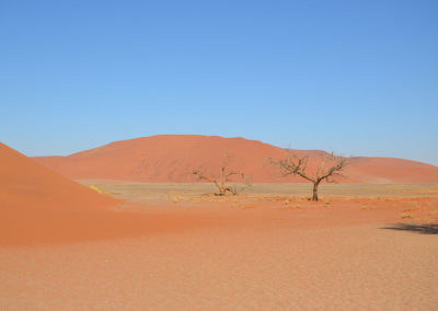 Duna 45 Sossusvlei - Diario di viaggio in Namibia