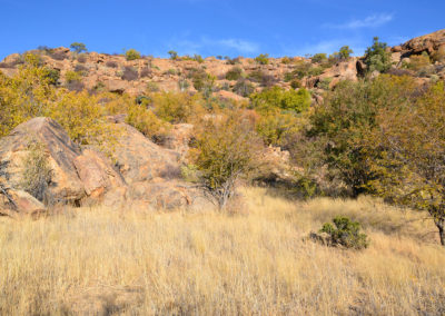 Ameib-ranch - Diario di viaggio in Namibia