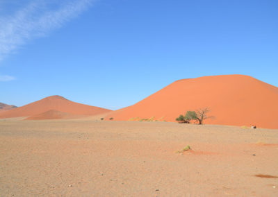 Dintorni duna 45 - Diario di viaggio in Namibia