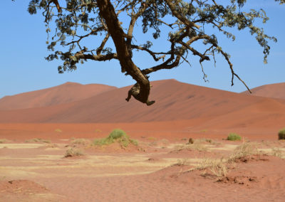 Ingresso Sossusvlei alle spalle del parcheggio 4x4 - Diario di viaggio in Namibia