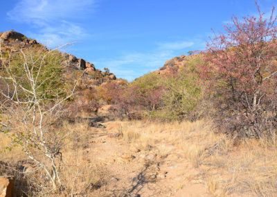 sentiero Ameib-Ranch - Diario di viaggio in Namibia