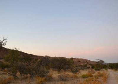 Ameib-ranch Erongo - Diario di viaggio in Namibia