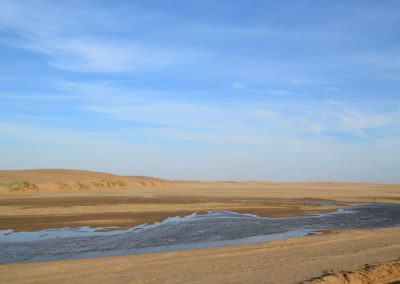 -Dorob national Park - Diario di viaggio in Namibia