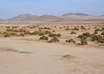 -Paesaggi-desertici per Swakopmund - Diario di viaggio in Namibia