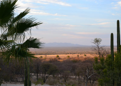 Ugab Valley - Diario di viaggio in Namibia