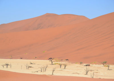 Deadvlei - Diario di viaggio in Namibia
