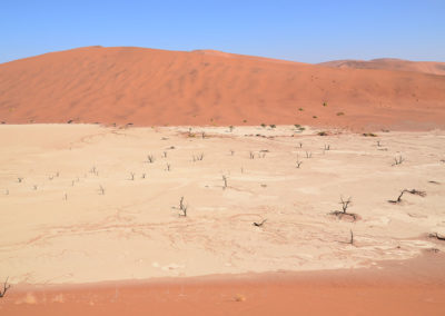 Deadvlei - Diario di viaggio in Namibia
