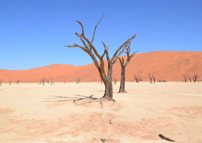 Deadvlei - Diario di viaggio in Namibia