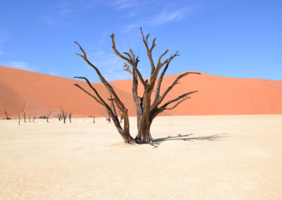 Deadvlei - Diario di viaggio in Namibia