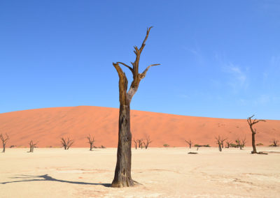 Deadvlei - Diario di viaggio in Namibia