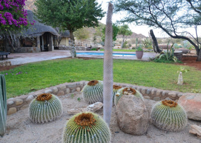 Solitaire Desert Farm - Diario di viaggio in Namibia
