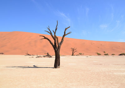 Deadvlei - Diario di viaggio in Namibia