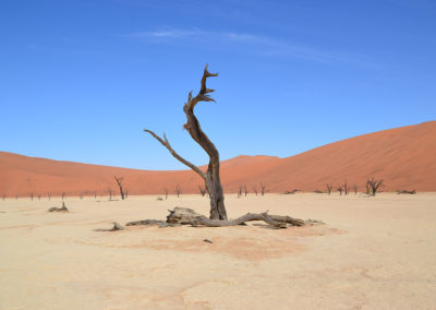 Deadvlei - Diario di viaggio in Namibia
