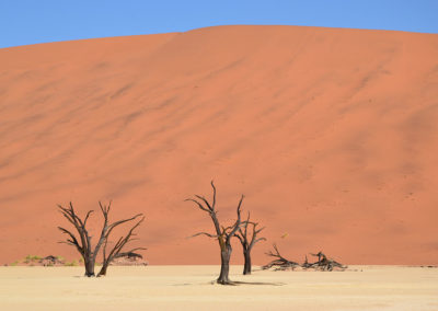 Deadvlei - Diario di viaggio in Namibia