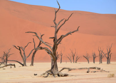 Deadvlei - Diario di viaggio in Namibia