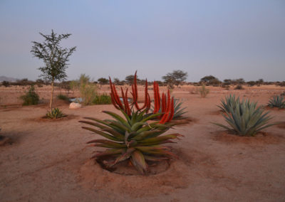 Solitaire Desert Farm - Diario di viaggio in Namibia