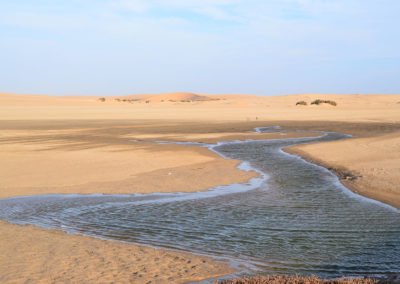 Walvis Bay - Diario di viaggio in Namibia