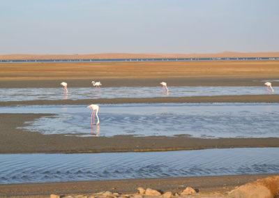 Walvis Bay - Diario di viaggio in Namibia