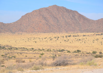 dintorni Solitaire per l'avvistamento dei ghepardi - Diario di viaggio in Namibia
