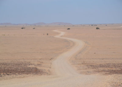 -oasi di Ganab e Hotsas - Diario di viaggio in Namibia