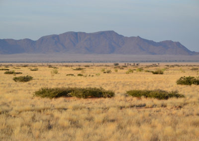 dintorni Solitaire per l'avvistamento dei ghepardi - Diario di viaggio in Namibia