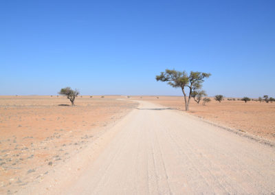 Oasi di Ganab e Hotsas - Diario di viaggio in Namibia