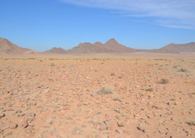 paesaggi Solitaire Sossusvlei - Diario di viaggio in Namibia
