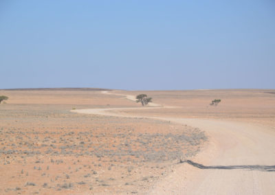 Oasi di Ganab e Hotsas - Diario di viaggio in Namibia