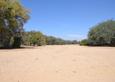 strada per Ameib-ranch - Diario di viaggio in Namibia