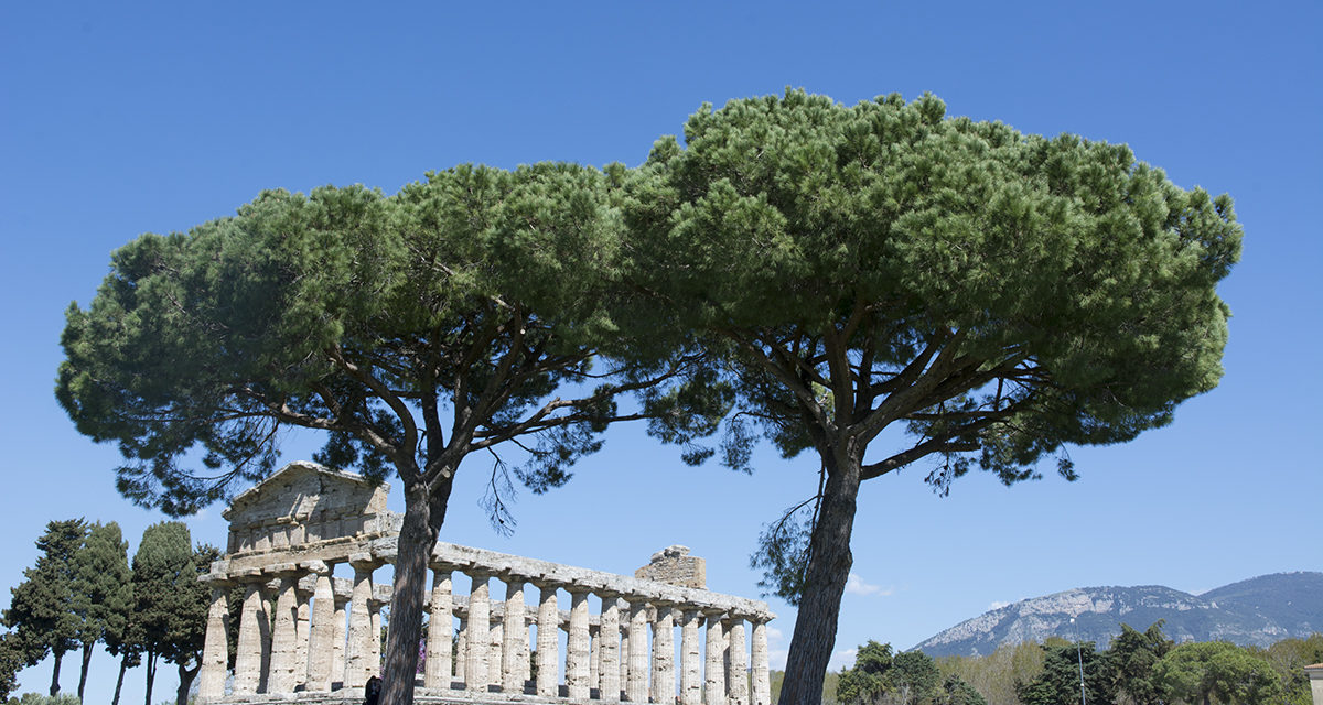 Paestum: un salto nel passato lungo 2.500 anni
