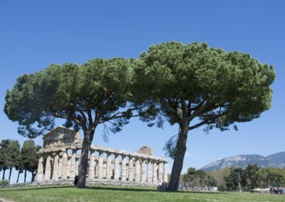 Scavi archeologici di Paestim