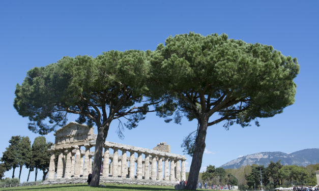 Paestum: un salto nel passato lungo 2.500 anni