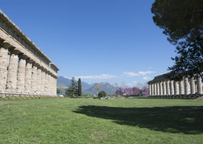 I templi greci di Paestum