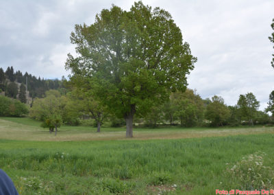 La campagna intorno al Battistero paleocristiano di San Giovanni in Fonte, Padula