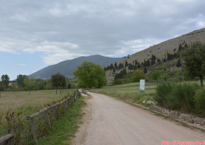 Viale per il Battistero paleocristiano di San Giovanni in Fonte, Padula