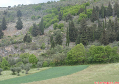 La campagna intorno al Battistero paleocristiano di San Giovanni in Fonte, Padula