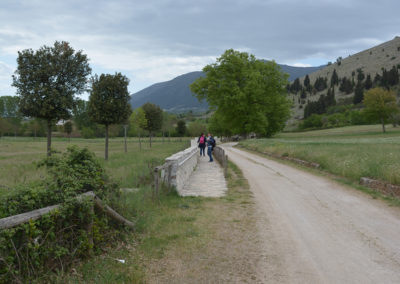 La campagna intorno al Battistero paleocristiano di San Giovanni in Fonte, Padula