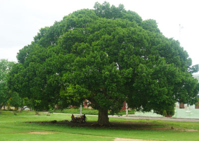 Ex Hacienda Yaxcopoil - Diairio di viaggio in Messico