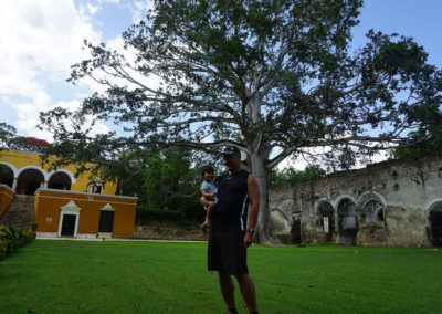 Albero-Ceiba-sacro-ai-Maya-Hacienda-Uayamon-Diario di viaggio in Messico