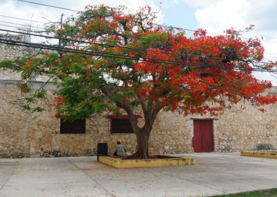 Becal - Diario di viaggio in Messico