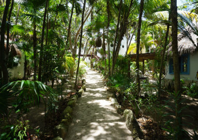 Giardino-tropicale-della-posada-Dos-Ceibas-Eco-Retreat - Tulum - Diario ci viaggio in Messico