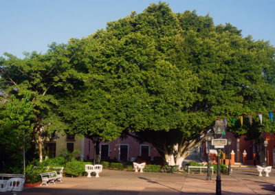 Piazza-de-La-Candelaria---Valladolid-Paanorama--Valladolid-da-terrazza-El-Mason-del-Marques