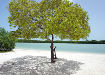 Punta-Cocos---Holbox---Diario-di-viaggio-in-Messico
