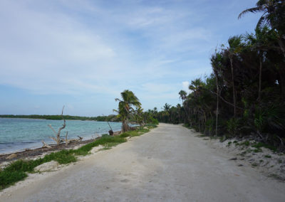 Riserva- Sian-Ka’an - Akumal-spiaggia - Diario di viaggio in Messico